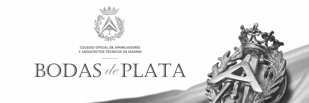 Imagen Insignia Bodas de Plata